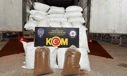 Adana’da 3 ton kaçak tütün ele geçirildi