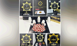 Adıyaman'da çeşitli suçlardan yakalanan 21 şüpheli tutuklandı