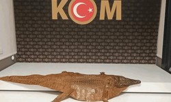 Afyon'da şüohe üzerine durdurulan bir otomobilde timsah derisi bulundu