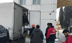 Aydın'da nakil belgesiz 290 kasa balığa el konuldu