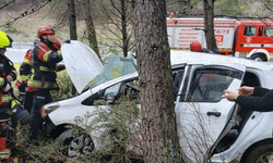 Balıkesir'de otomobil ormanlık alana uçtu: 2 yaralı