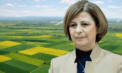 Başkan Ünlüce açıkladı: Mahkeme termik santral planını iptal etti