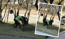 Belediye ekiplerinden Cumhuriyet Bulvarı’nda detaylı temizlik