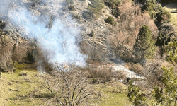 Bilecik'te arazide temizlik için yakılan otlar panik yarattı