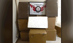 Bilecik’te kaçak sigara operasyonu: 125 bin adet ele geçirildi