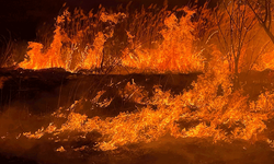 Burdur'da sazlık alanda yangın