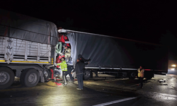 Bursa'da iki tırın çarpıştığı kazada 1 kişi hayatını kaybetti