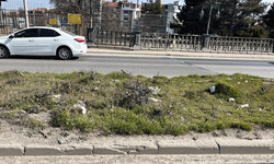 Eskişehir-Kütahya yolunda refüj çöple doldu