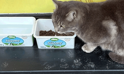 Eskişehir’de pastane önünde örnek davranış