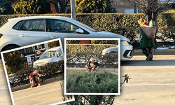 Eskişehir’de sırtında çocukla dilendi, trafikte canını hiçe saydı