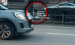 Eskişehir’de yola fırlayan köpek kazaya davetiye çıkardı