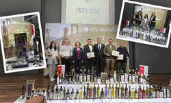 Eskişehir’in zeytinyağı Türkiye’nin en iyileri arasına girdi