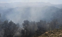 Hatay'da ormanlık alanda çıkan yangın kısa sürede kontrol altına alındı