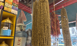 İşçi bulunamıyor fiyatı uçuyor: Eskişehir’de kurutulmuş bamya rekora koşuyor