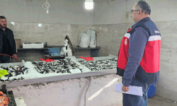 Kütahya'da balıkçılara yönelik denetim gerçekleştirildi