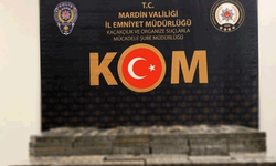 Mardin’de 11 bin 780 paket kaçak sigara ele geçirildi