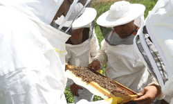 Odunpazarı’nda Arıköy Projesiyle üretime destek