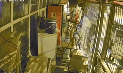 Osmaniye'de çalıntı araçla geldiler, marketi soydular: 1 şüpheli tutuklandı