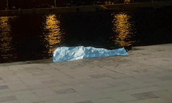 Sinop sahilinde denizde erkek cesedi bulundu