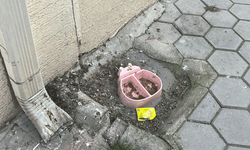 Sokak hayvanları için bırakılan kap kir içinde kaldı