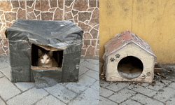 Tepebaşı’nda mahalle sakinlerinden sokak kedilerine sıcak yuva