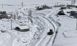 Van'da kardan dolayı kapanan 390 yoldan 355'i açıldı