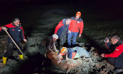 Yalova’da bataklıkta mahsur kalan vatandaş ve büyükbaş hayvanı kurtarıldı