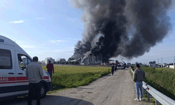 Antalya'da patates üretim tesisinde yangın