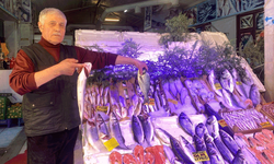 Av yasağı başladı… Eskişehir’de balık fiyatları artacak mı?
