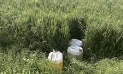 Aydın Söke'de göçmen kaçakçılığı operasyonu: 6 tutuklama