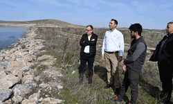 Beylikova Barajı doldu: 50 bin dekar araziye can suyu