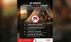 Bildirici: “Türkiye’de yerli sıtma bulaşı sona ermiş olsa da risk devam ediyor”