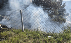 Bilecik'te tarladaki ateş kontrolden çıktı