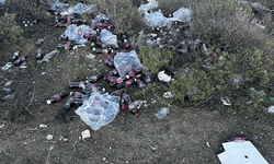 Bilecik’te tepki çeken görüntü: Ormanda yüzlerce şalgam suyu şişesi bulundu
