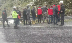 Bitlis Tatvan'da beton mikseri dereye uçtu