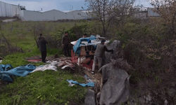 Bursa'da kaçak güme operasyonu