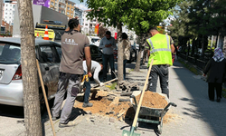 Cumhuriyet Bulvarı’nda çöp konteyneri alanı düzenlemesi