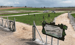 Eskişehir Büyükşehir’den anlamlı hediye: Her çifte bir fidan