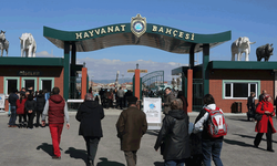 Eskişehir Hayvanat Bahçesi EAZA’da yeniden zirvede