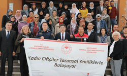 Eskişehir’de altın otu projesi: Kadın çiftçilere 8 bin 200 fide desteği