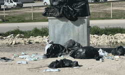 Eskişehir’de çöp sorunu vatandaşları isyan ettirdi