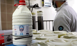 Eskişehir’de Halk Süt projesi büyüyor: Üretim rekor kırdı