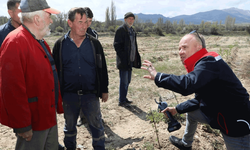 Eskişehir’de kuraklığa karşı proje: 900 fidan toprakla buluştu