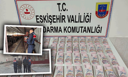 Eskişehir’deki 1,9 milyon liralık vurguna operasyon: 2 şüpheli yakalandı