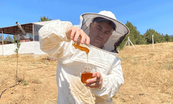 Eskişehir’in balı Paris’i salladı