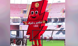 Eskişehirspor maskotu Şimşek’ten anlamlı karar: Sahaya çıkmayacak