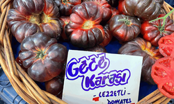 Gece Karası Domates görenleri şaşkına çeviriyor