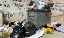 Güllük Mahallesi’nde yetersiz konteynır sebebiyle çöpler yollara taştı