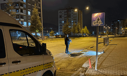 Kayseri'de bıçaklı kavgada ağabey-kardeş yaralandı