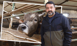 Kurbanlık alacaklar dikkat: Eskişehir’de “son güne bırakmayın” uyarısı